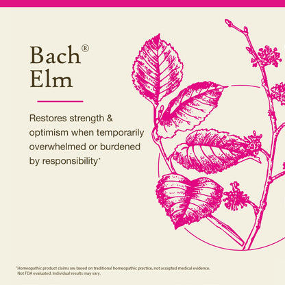Bach Elm Original Flower Remedy - Be Efficient | Emotional Balance 20mL