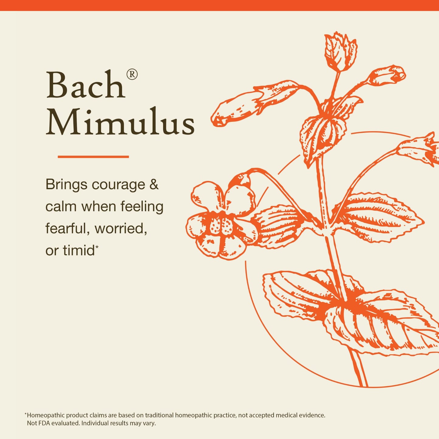 Bach Mimulus (Non-Alcohol) - Face Your Fears | 10mL Dropper