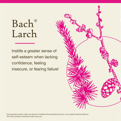 Bach Larch Flower Remedy: Confidence & Balance | 20mL