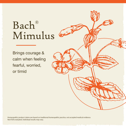Bach Mimulus - Face Your Fears - 20mL Dropper | Original Flower Remedies
