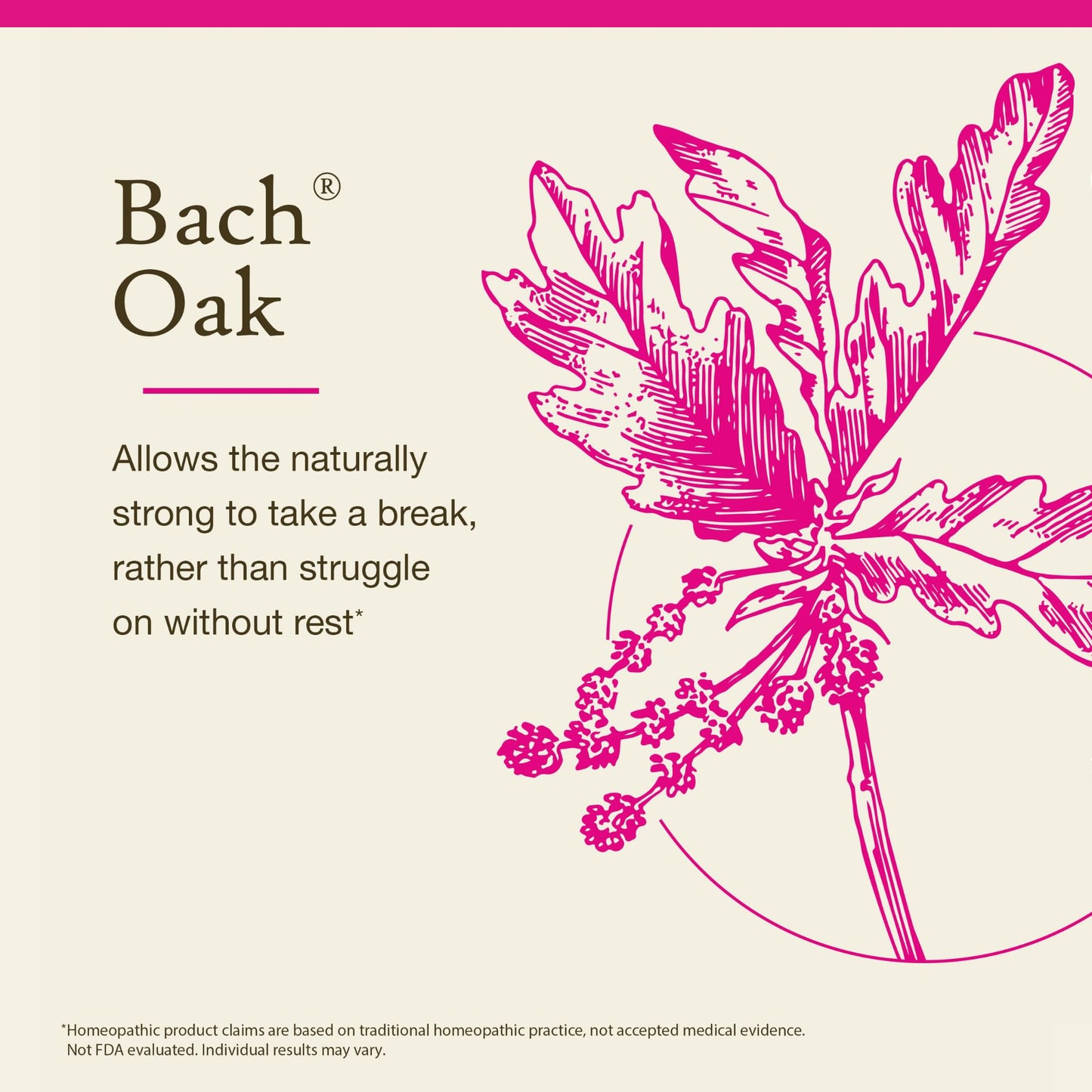 Bach Oak Flower Remedy – Restore Endurance | 20mL Vegan Gluten Free Sugar Free