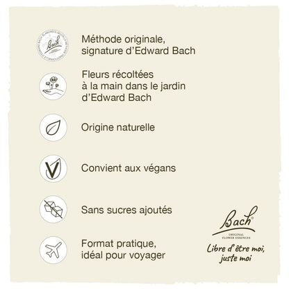 Bach Original Flower Remedies Oak - Restore Endurance | 20mL Dropper | Vegan, Gluten Free, Sugar Free