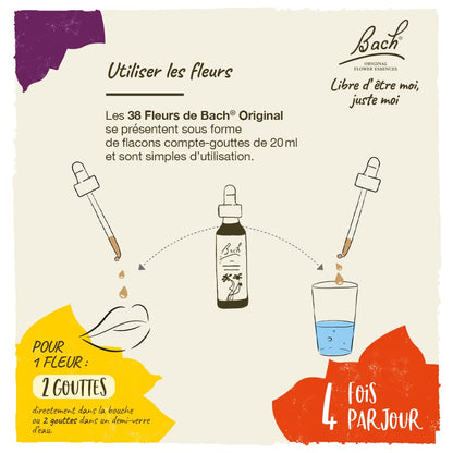 Bach Original Flower Remedies Oak - Restore Endurance | 20mL Dropper | Vegan, Gluten Free, Sugar Free