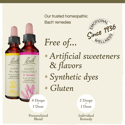Bach Original Flower Remedies Hope & Joy Kit – 3 x 20mL Droppers, Vegan