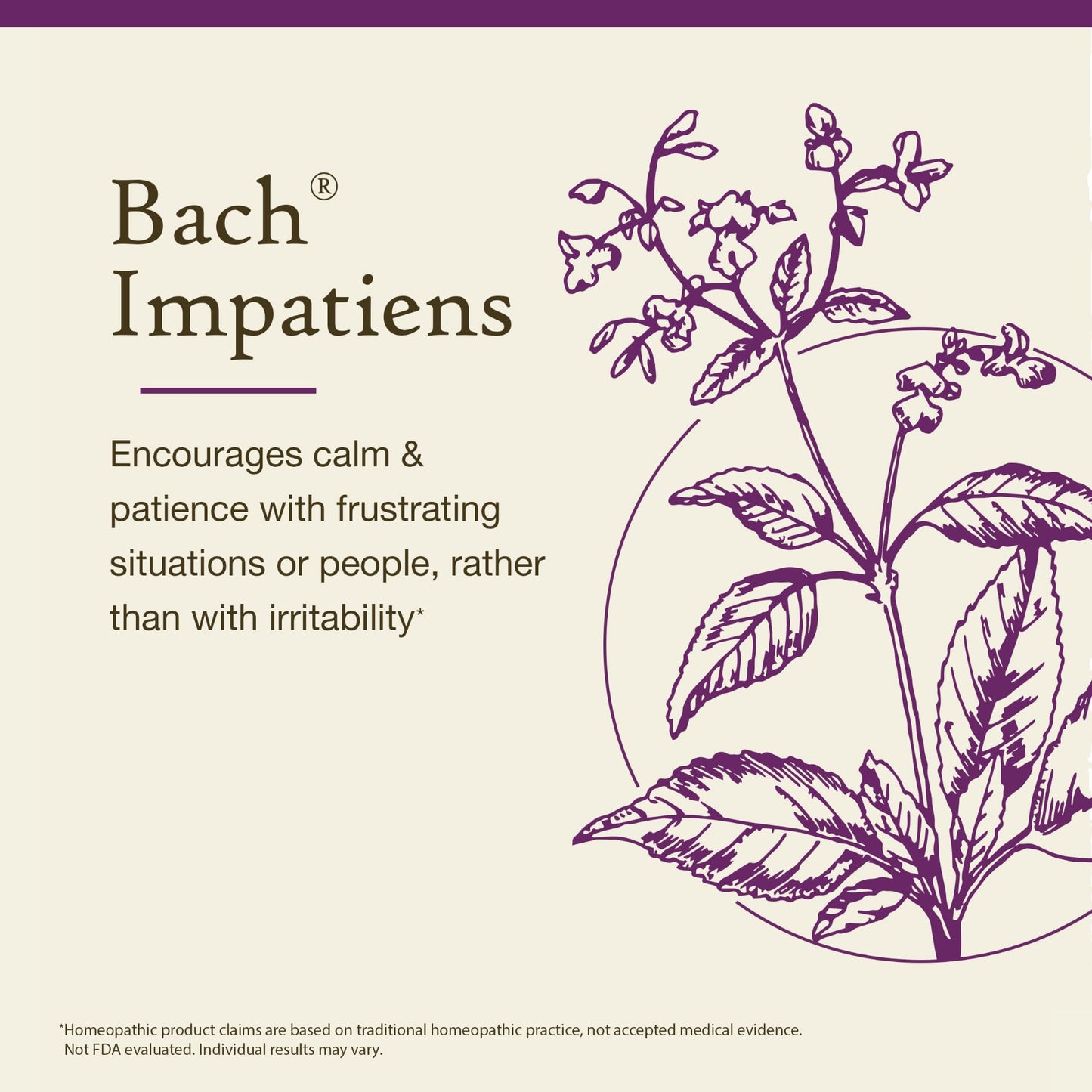Bach Impatiens Original Flower Remedies – 20mL Dropper (2-Pack) – Have Patience