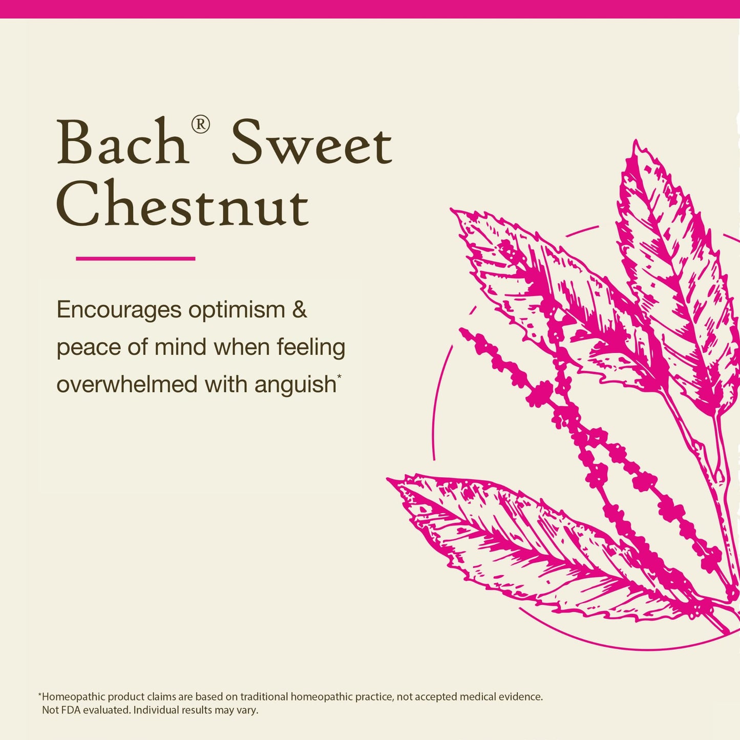 Bach Original Flower Remedies Sweet Chestnut – Be Optimistic (20mL) | Vegan, Gluten Free, Sugar Free