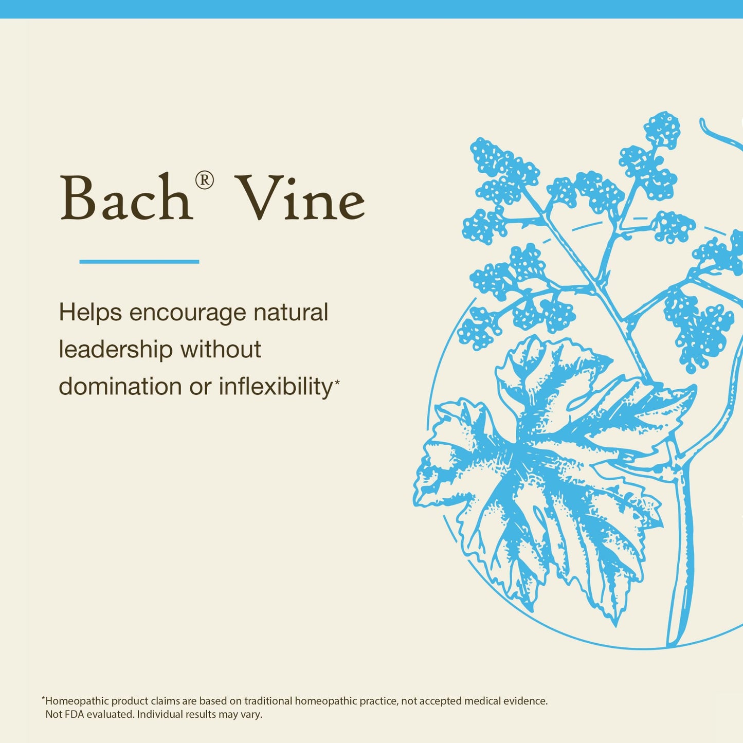 Bach Original Flower Remedies Vine – Motivate Not Dominate – 20mL Dropper