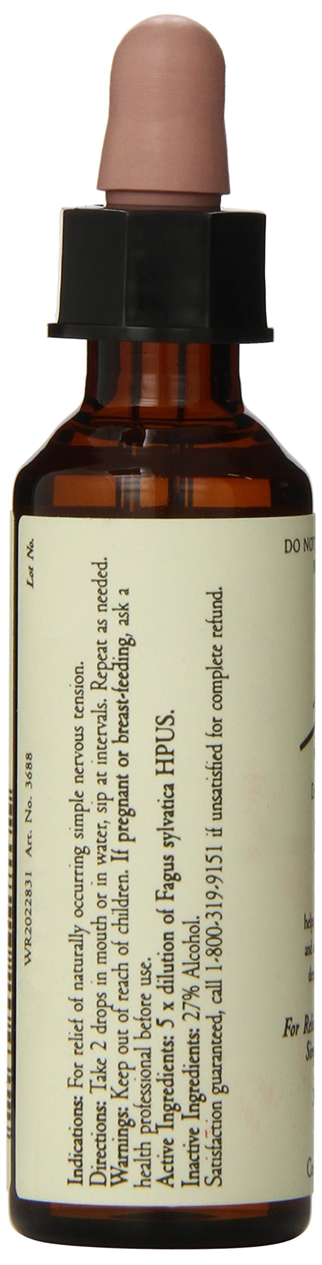 Bach Beech Be More Tolerant - 20mL Flower Remedy | Emotional Balance