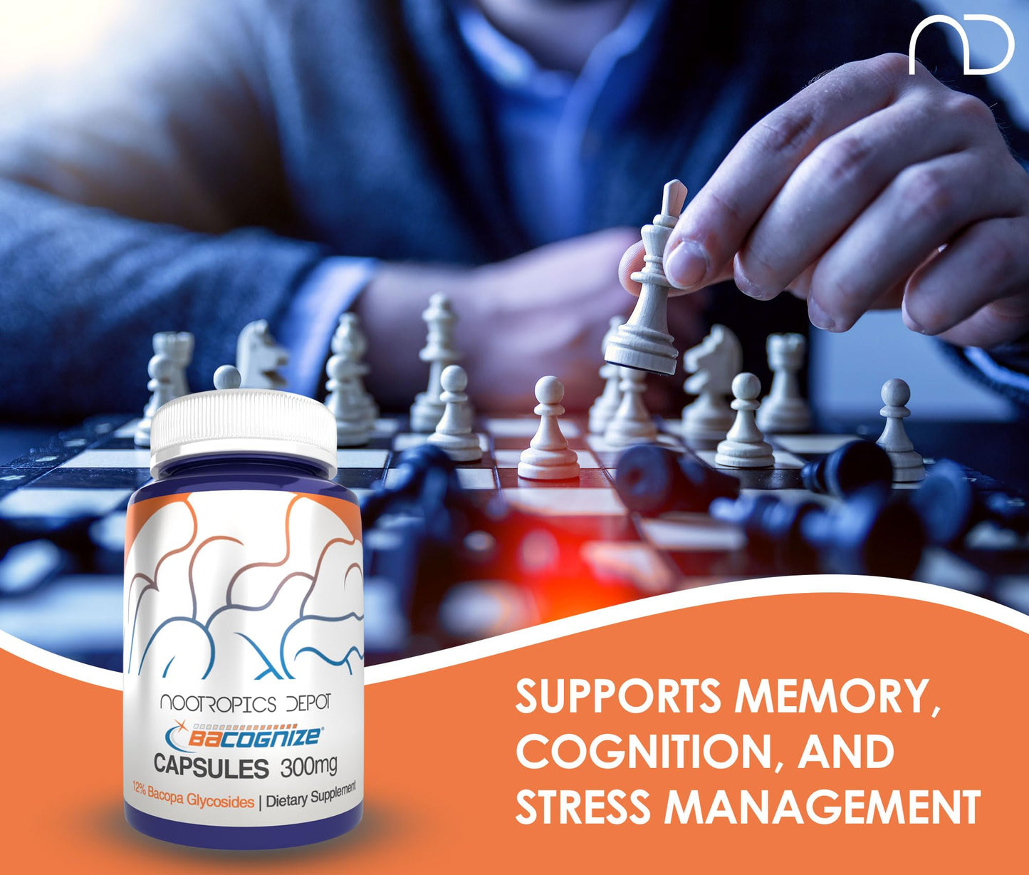 BaCognize Bacopa Monnieri Capsules – 300mg, 240 Count | Nootropic Brain Booster