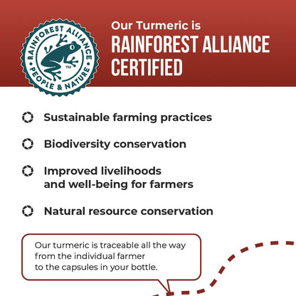 Balance ONE Turmeric 1000mg with 95% Curcuminoids – Joint Support & Antioxidant