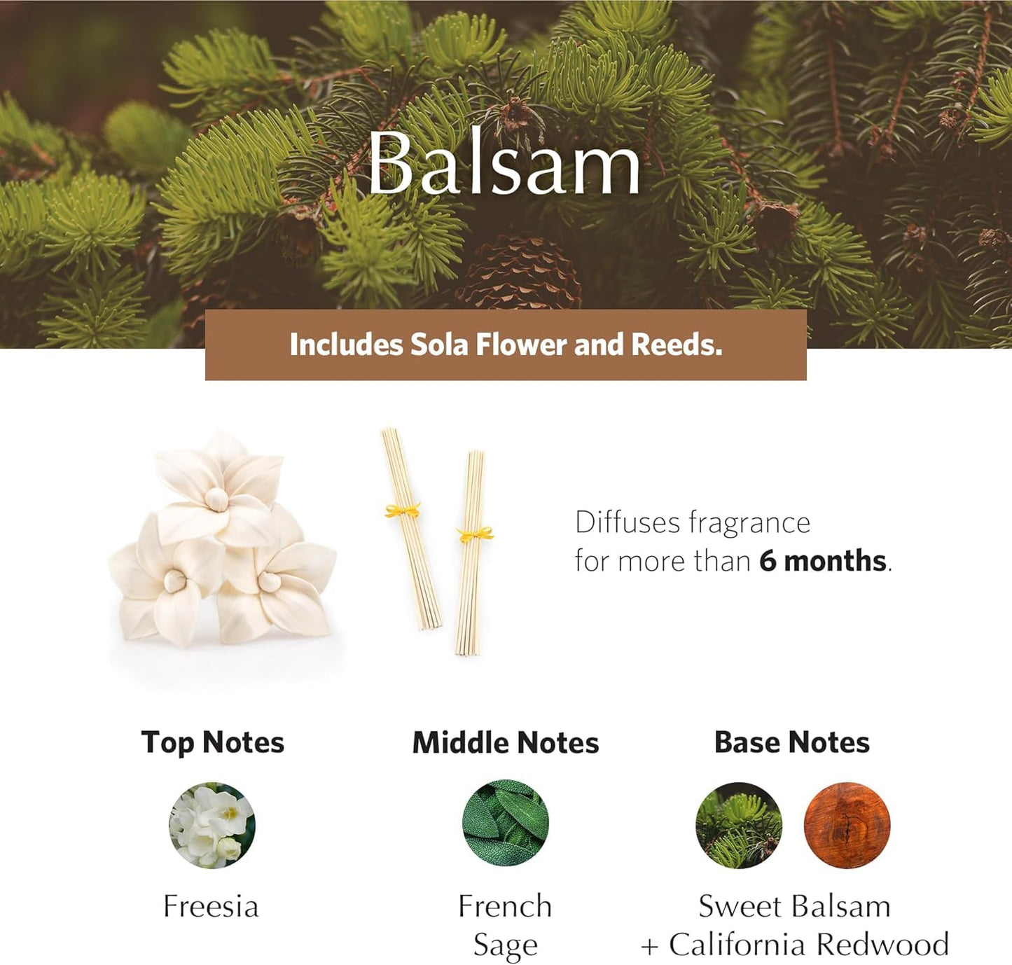 Balsam Holiday AirEssence Diffuser 7.4oz – Luxury Flower & Reed Diffuser by Agraria