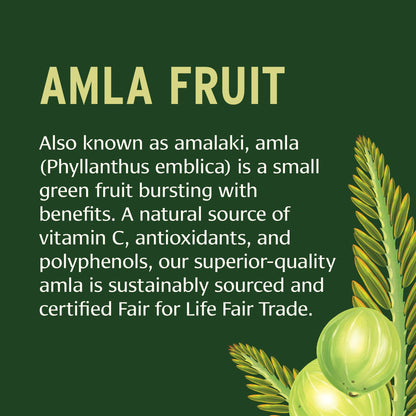 Banyan Botanicals Amla Tablets – Organic Amalaki (Emblica) | Vitamin C & Antioxidants