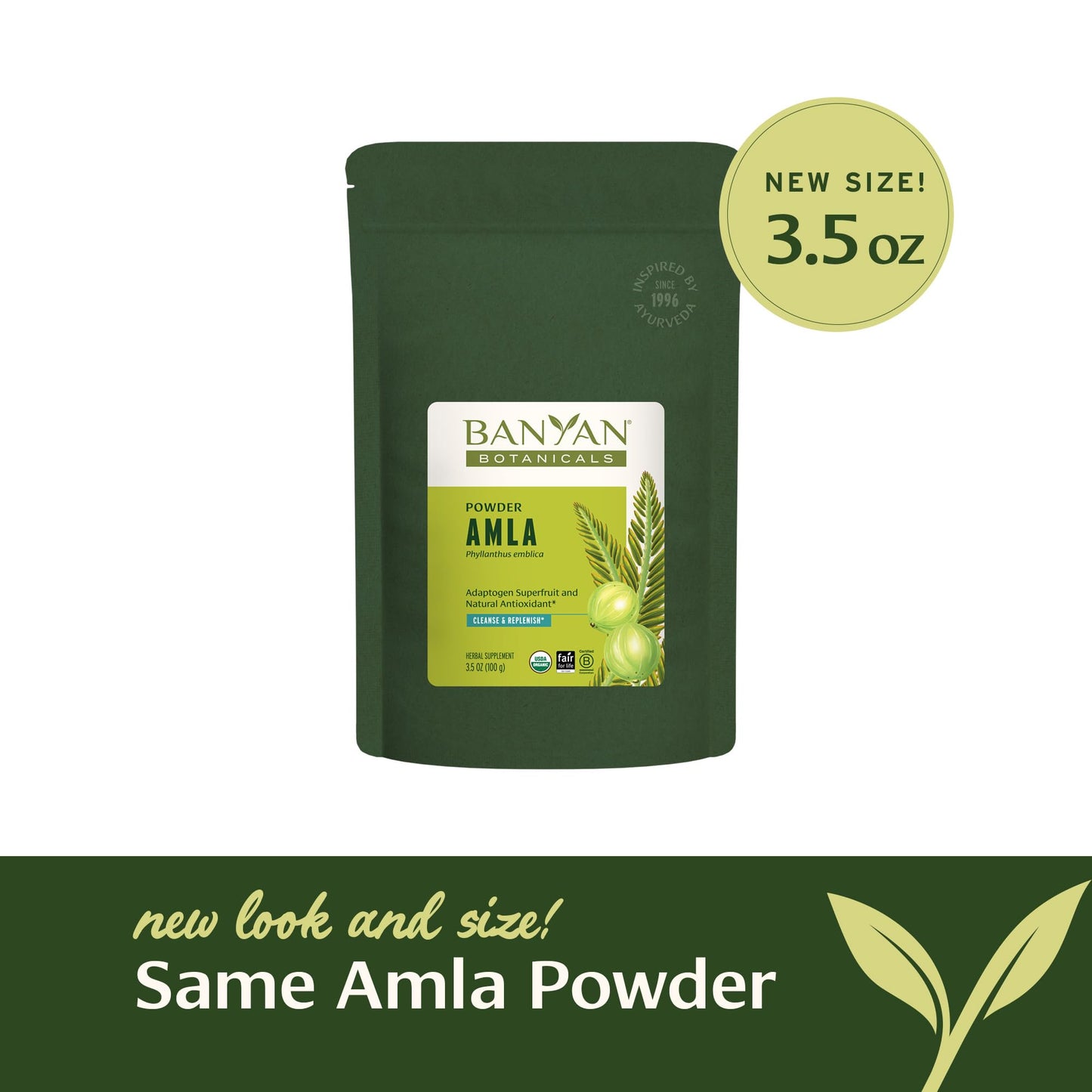 Banyan Botanicals Amla (Amalaki) Powder – Organic Amla, 3.5oz | Vitamin C & Antioxidants