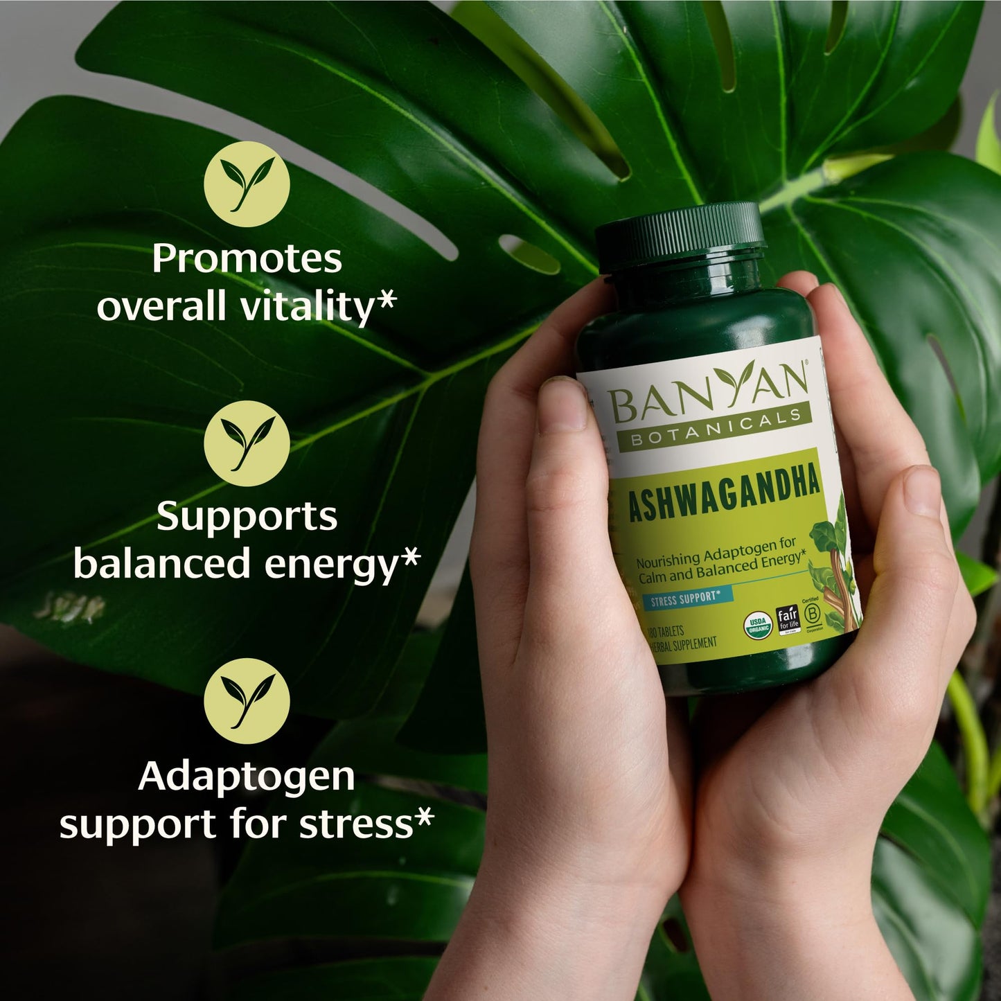 Banyan Botanicals Ashwagandha Tablets – Organic Ashwagandha Root, Non-GMO, Vegan – 180 Tablets