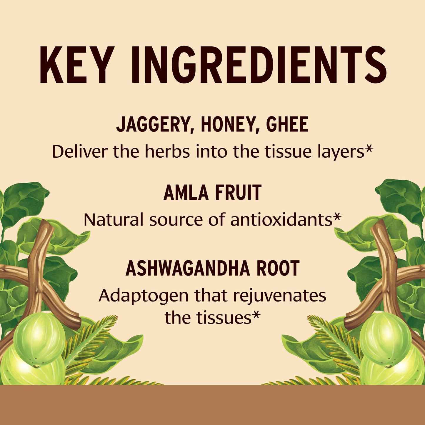 Banyan Botanicals Chyavanprash – Organic Ayurvedic Jam with Raw Honey, Amla & Ashwagandha (16.9 oz)