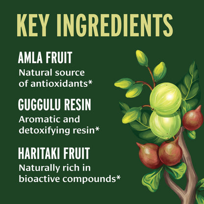 Banyan Botanicals Triphala Guggulu – Organic Triphala with Guggulu Resin | 90 Tablets – Vegan, Non-GMO
