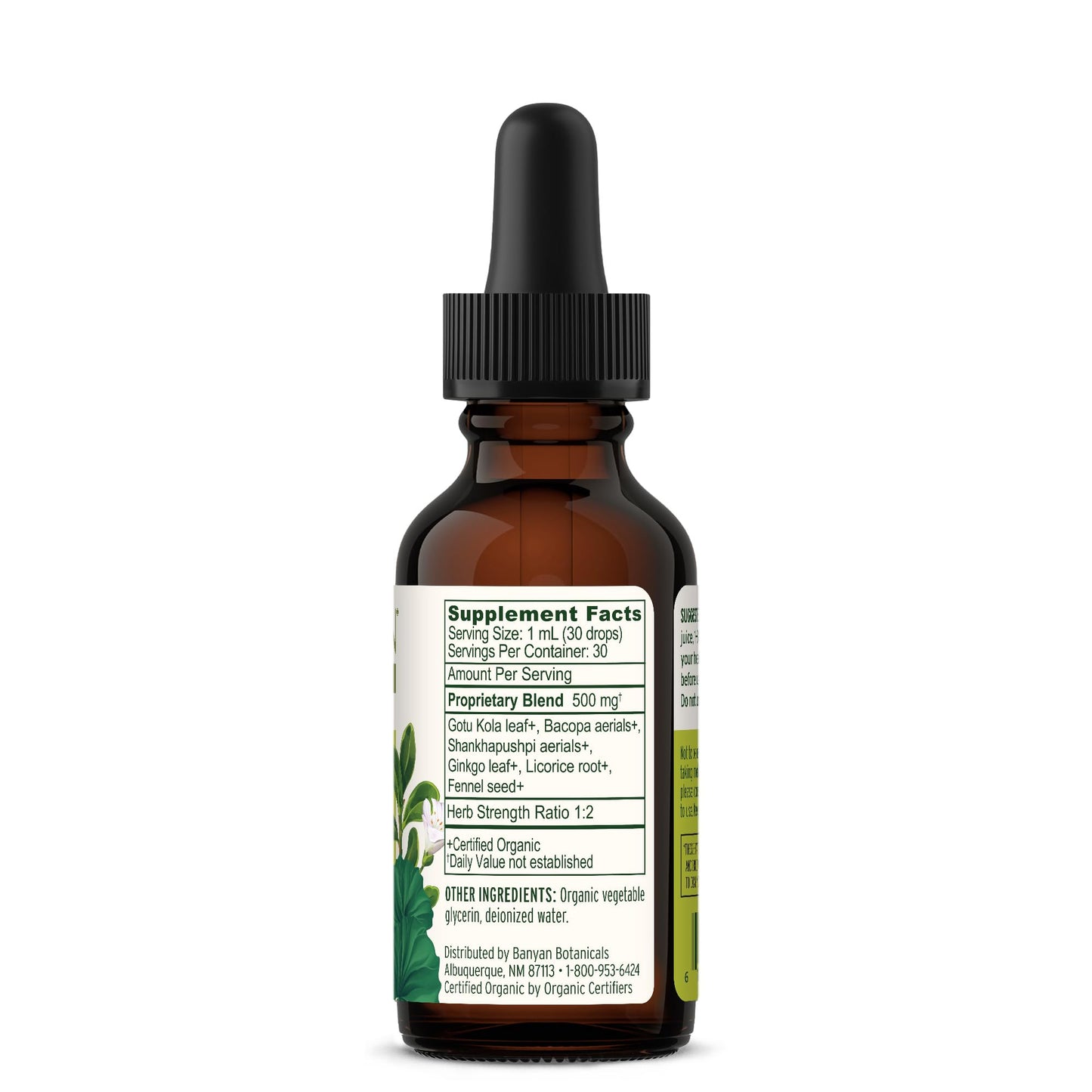 Banyan Botanicals Focus Liquid Extract – Organic Focus Supplement (1 oz) – Non-GMO, Vegan