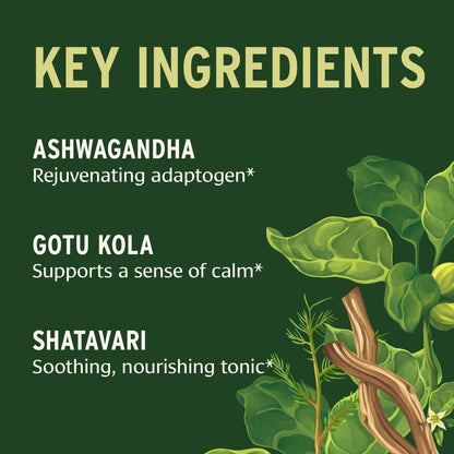 Banyan Botanicals Stress Ease – Organic Ashwagandha Adaptogen, 90 Tablets – Vegan, Non-GMO