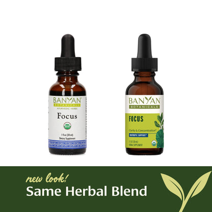 Banyan Botanicals Focus Liquid Extract – Organic Focus Supplement (1 oz) – Non-GMO, Vegan