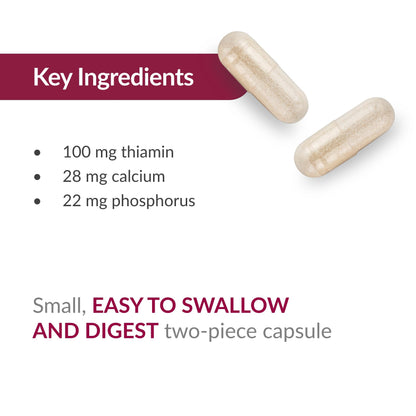 Bariatric Advantage B1 Thiamin 100 mg – Easy Digest, 90 Count