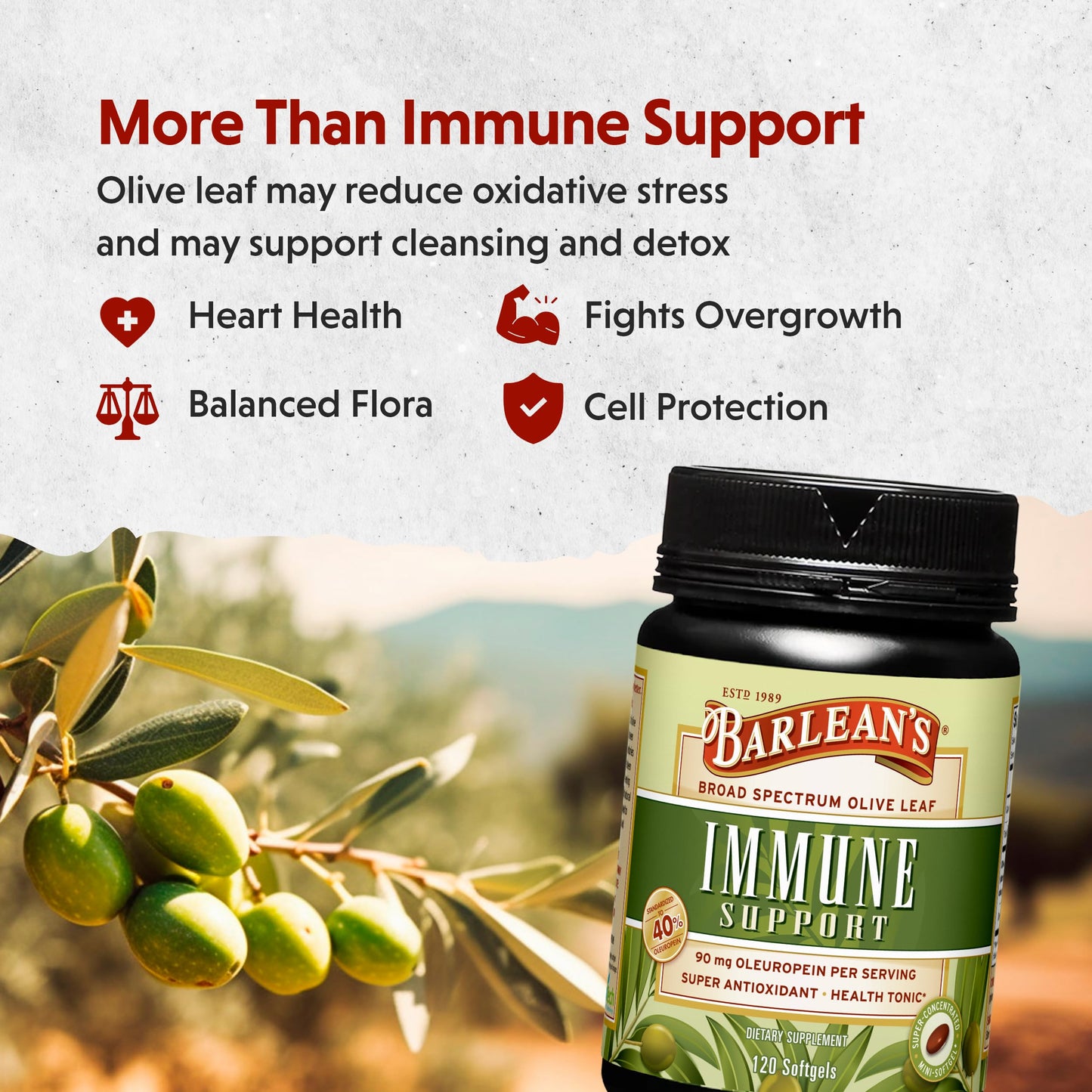 Barlean's Olive Leaf Complex Supplements – Immune Support Softgels, 95 mg Oleuropein, 120 Count