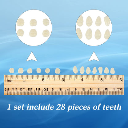 BBTO 6 Sets Acrylic Resin Fake Teeth – Denture Replacement Prop, A2, 168 Pieces