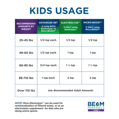 BEAM Minerals Micro-Boost & Electrolyze – Bioavailable Electrolyte & Micronutrient Set