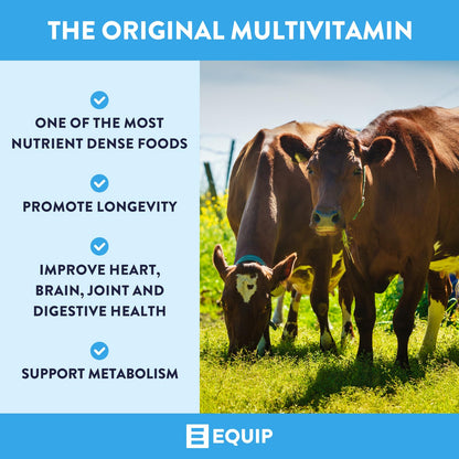 Equip Foods Grass-Fed Beef Liver – Desiccated Liver Supplement | 180 Capsules, 30 Servings