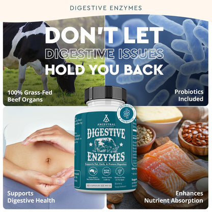 Ancestral Supplements Digestive Enzymes for Women & Men – Probiotics & Grass-Fed Organs, 90 Capsules
