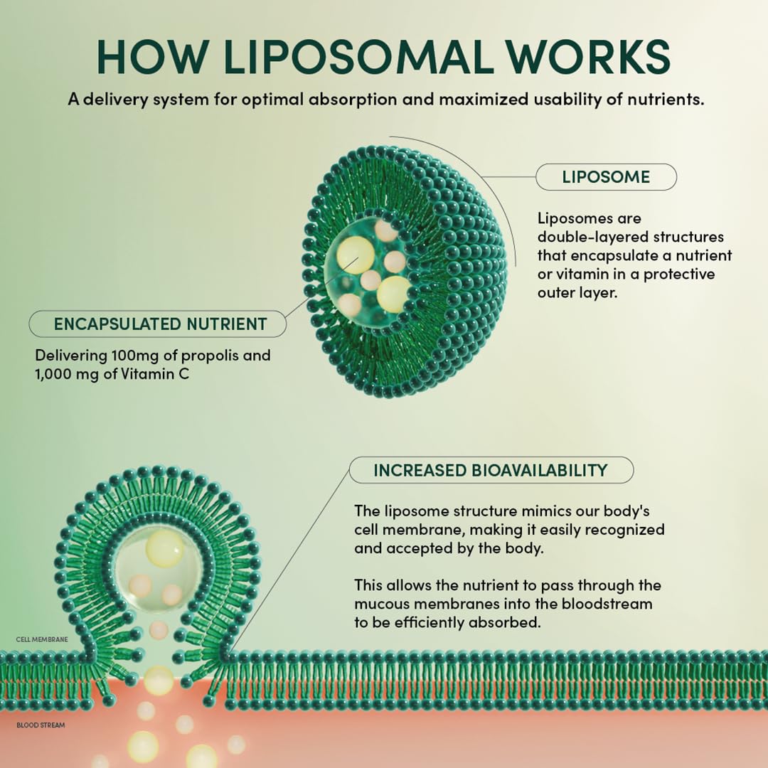 Beekeepers Naturals Propolis Liposomal Vitamin C 1000mg | Immune Support & Bioavailability