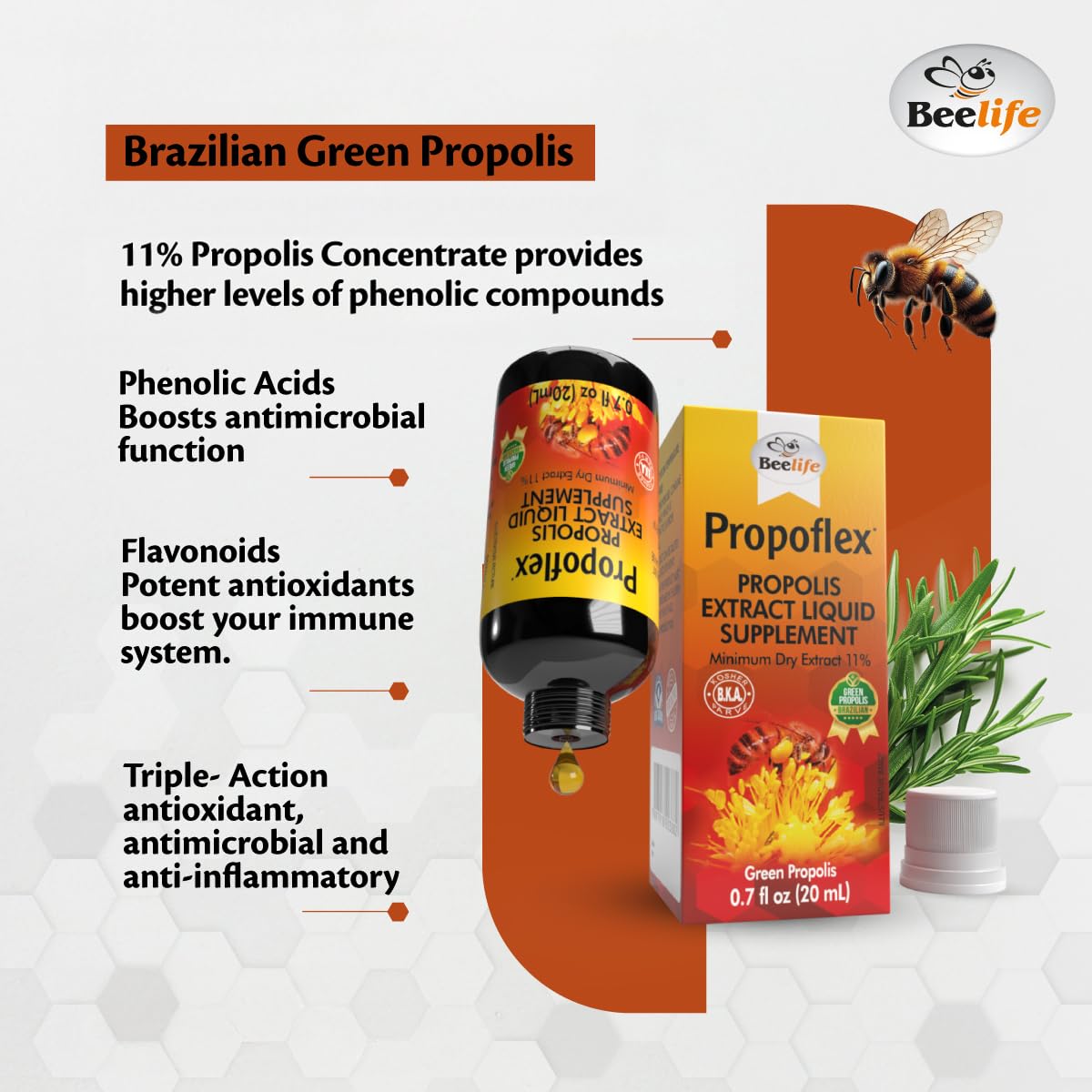 Beelife Brazilian Green Propolis Extract 11% Dry – Antioxidant, Kosher, 20ml