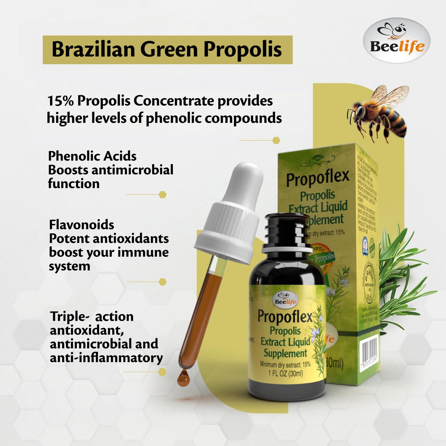 Beelife Brazilian Green Propolis Extract – 15% Artepillin-C Tincture | Immune Support