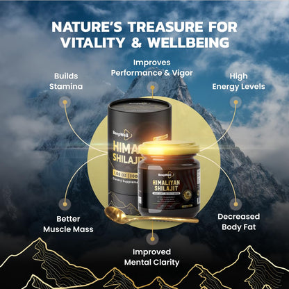 BeepWell Shilajit Resin – Organic Himalayan Shilajit, 60 Servings