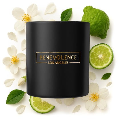 Benevolence LA Bergamot & Jasmine Christmas Scented Candles - 8oz Soy Candle (45 Hour Burn) | Black Home Fragrance