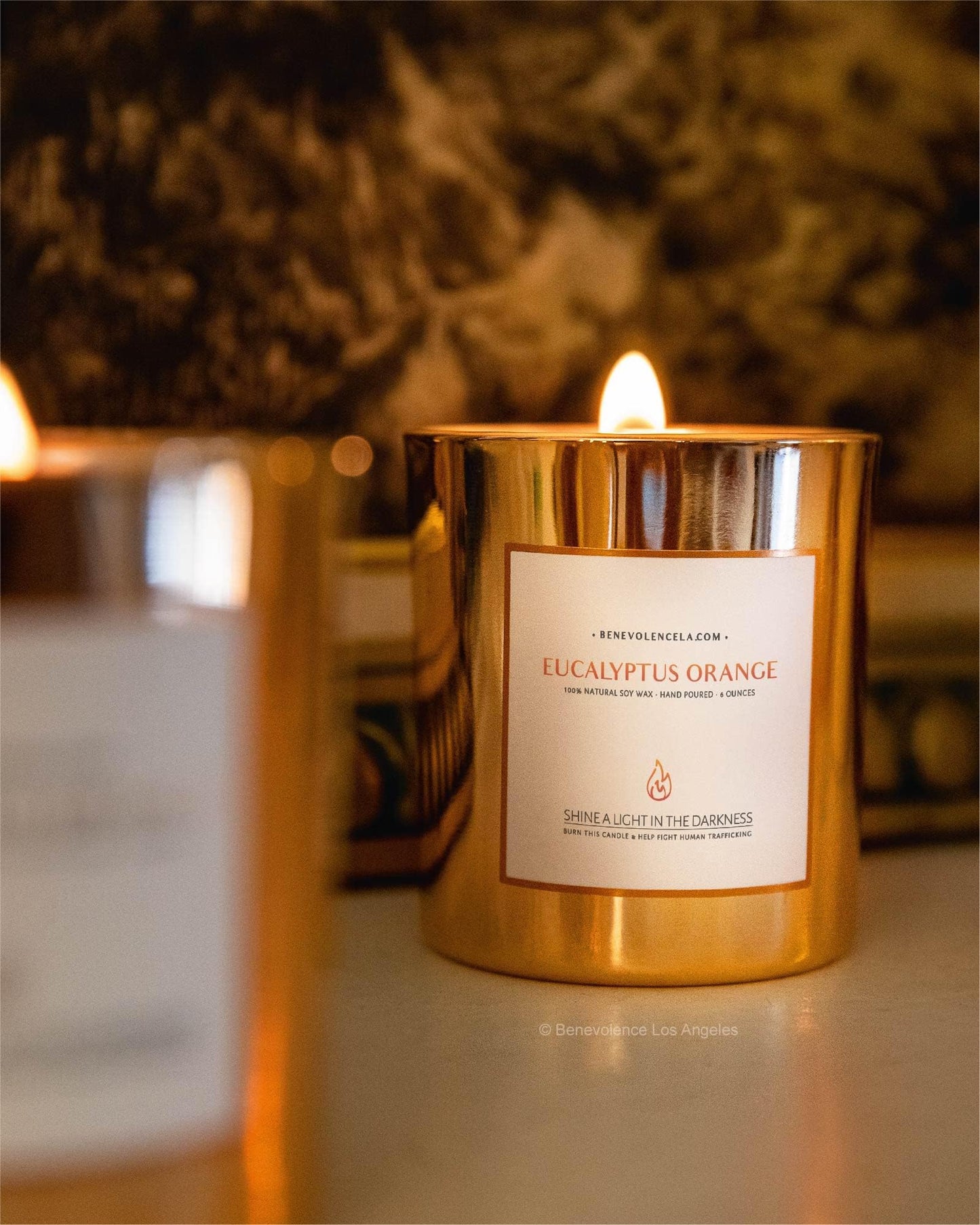 Benevolence LA Eucalyptus Orange Wood Wick Candle | 8oz, 45 Hour Burn