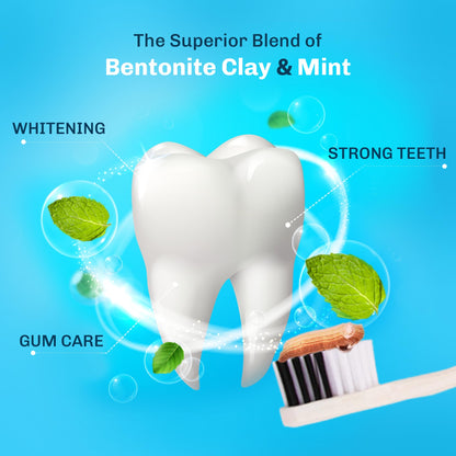 Bentodent Calcium Bentonite Toothpaste – Fluoride Free, SLS Free, Mint & Cardamom (Family Pack)