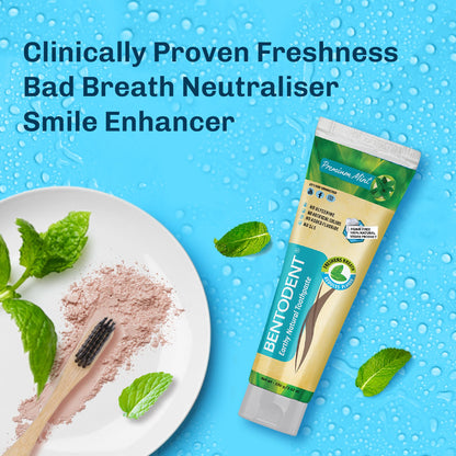 Bentodent Remineralizing Calcium Bentonite Clay Toothpaste - Fluoride Free, Organic, Premium Mint