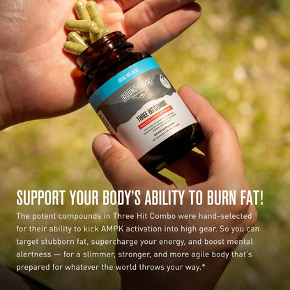 ROUNDHOUSE PROVISION Three Hit Combo – Fat Burner, Energy & Wellness (60 Capsules)