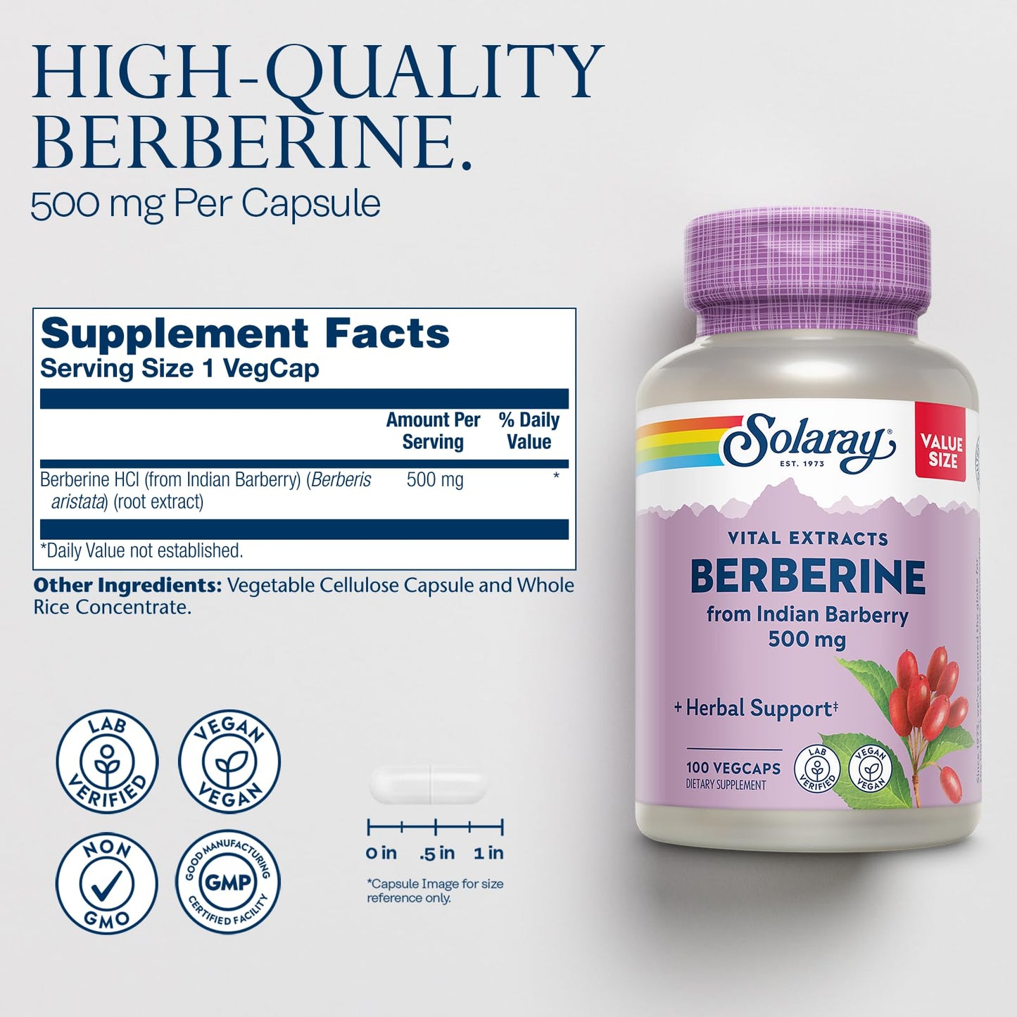 SOLARAY Berberine 500mg – Berberine HCl from Indian Barberry, Vegan, Non-GMO, 100 Servings