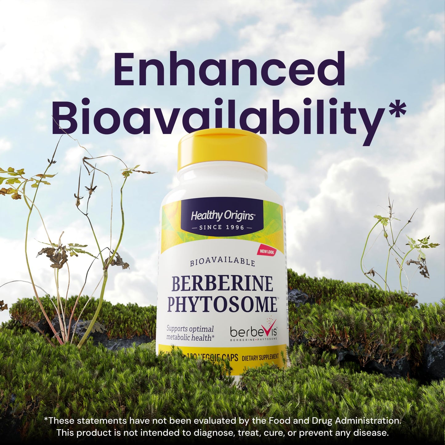 Healthy Origins Berberine Phytosome 550 mg (Berbevis) – Metabolic Support