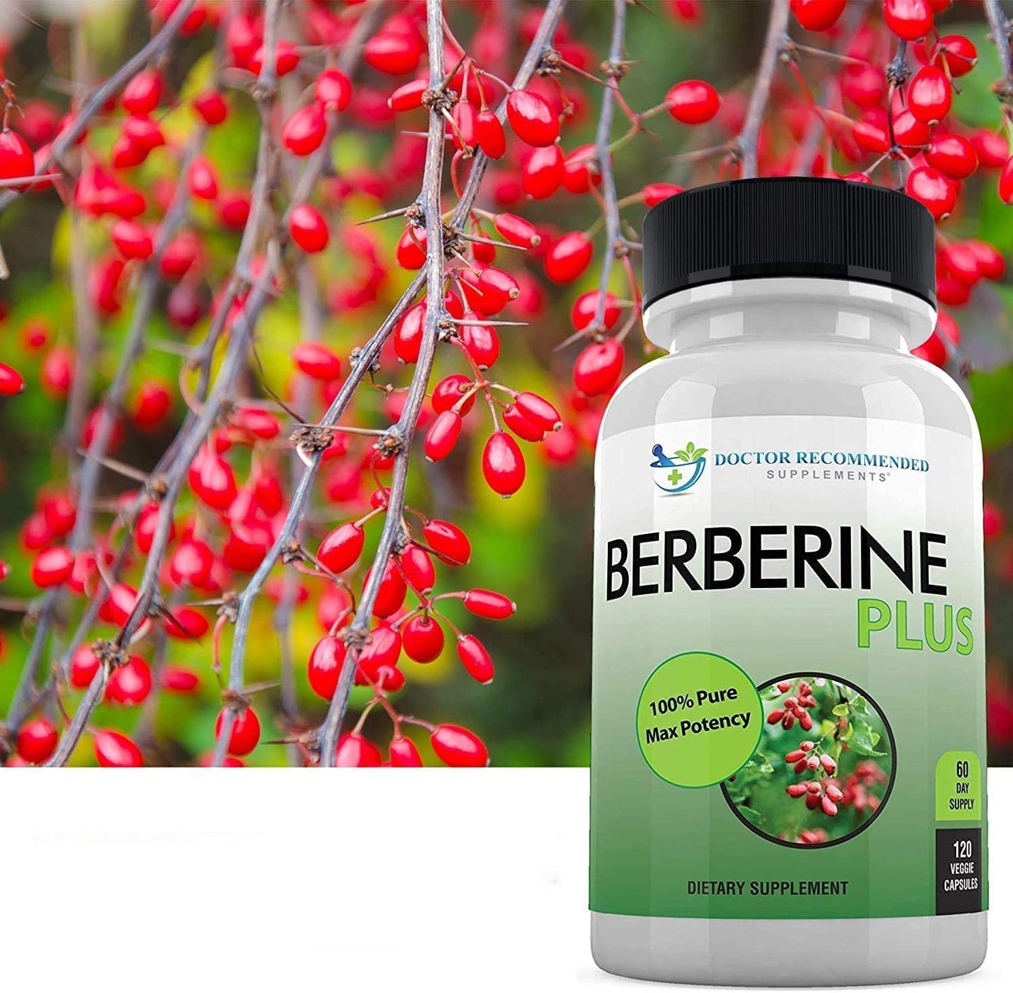 Berberine Plus 1200 mg | Doctor Recommended Supplements | 120 Veggie Capsules (Pack of 2)