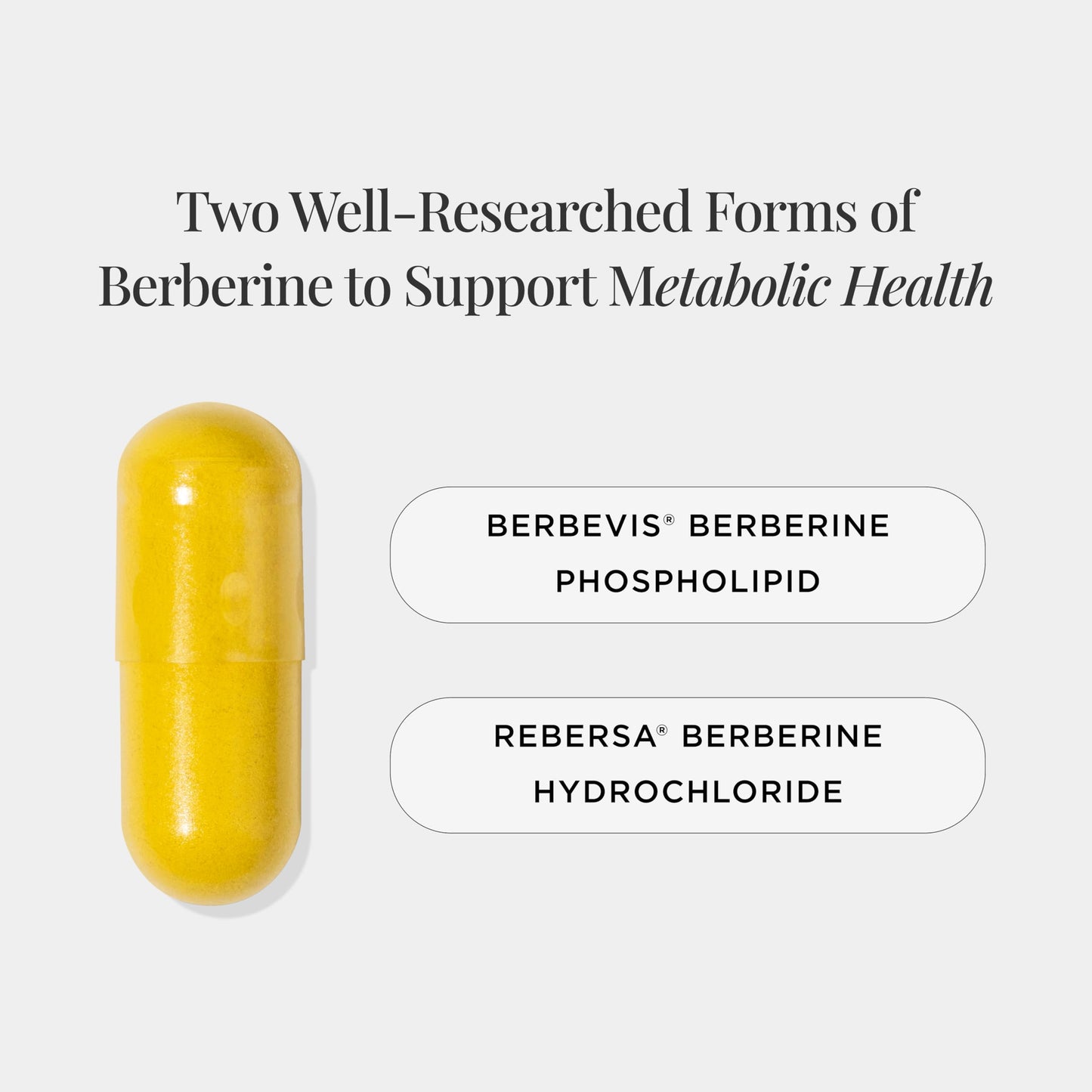 JSHealth Berberine+ Formula – Berberine Supplement for Metabolic Health | Vegan, Gluten-Free, Non-GMO (60 Tablets)
