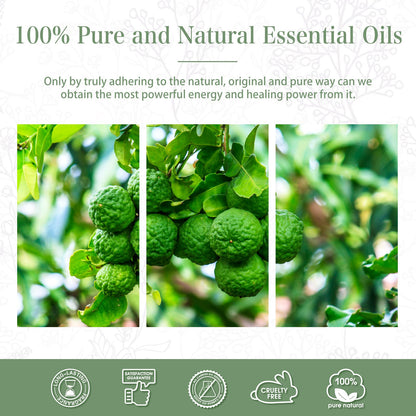 PHATOIL Bergamot Essential Oil 100ml – Aromatherapy, Diffusers, DIY Candles & Soaps