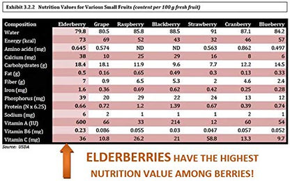 Berryqueen Organic Elderberry Syrup – Immunity Booster (8 oz)