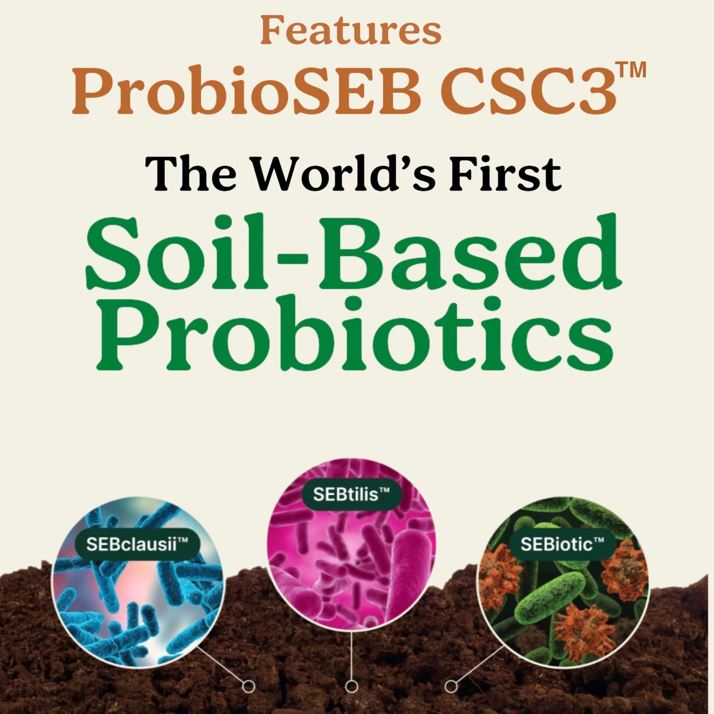 Best Days Formula | 5-in-1 Gut Support with Soil-Based Probiotics | Law Of Nature | 60 Capsules