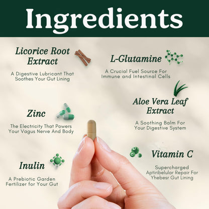 Best Days Formula | 5-in-1 Gut Support with Soil-Based Probiotics | Law Of Nature | 60 Capsules