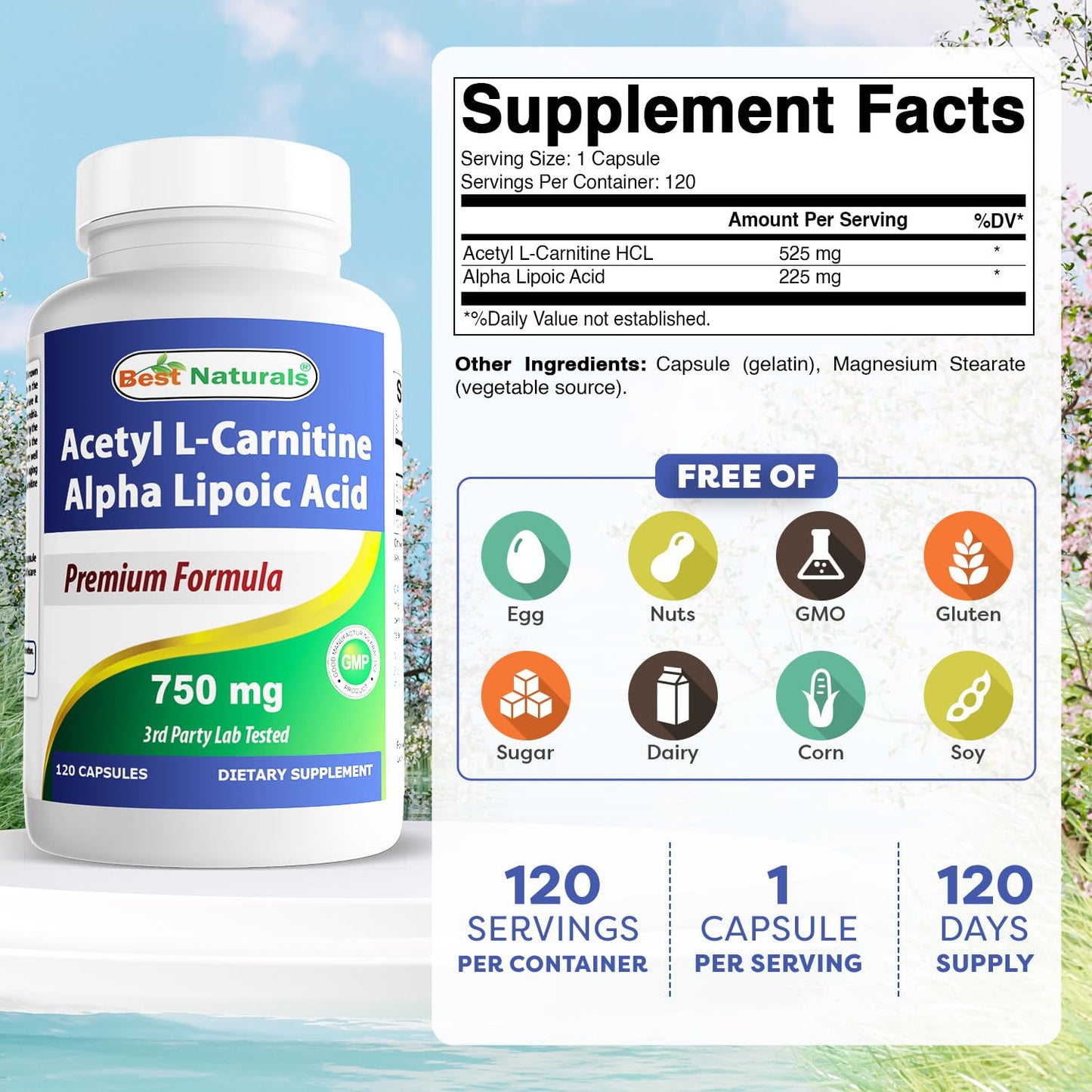 Best Naturals Acetyl L-Carnitine & Alpha Lipoic Acid 750 mg – 360 Count (3 x 120)