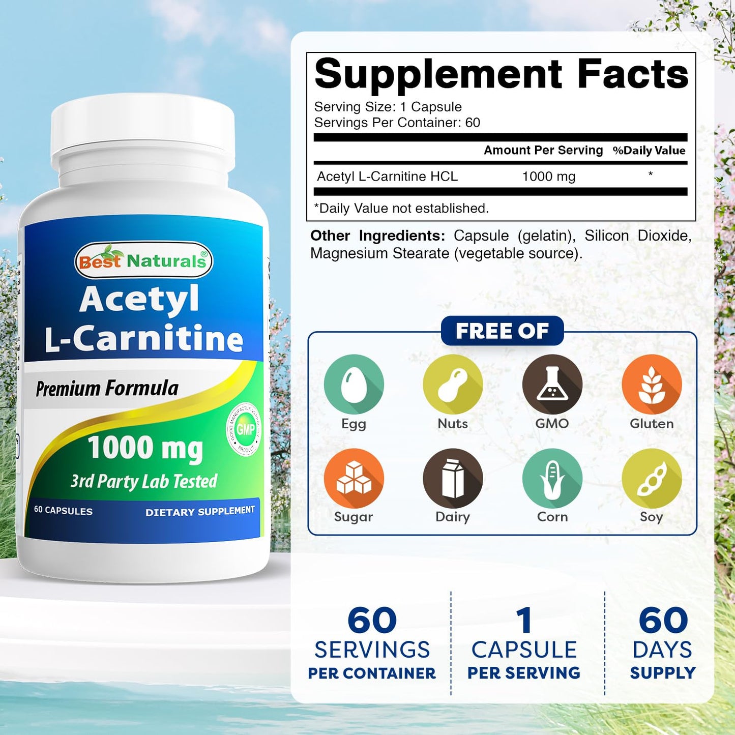 Best Naturals Acetyl L-Carnitine 1000 mg – 60 Capsules (Pack of 3)