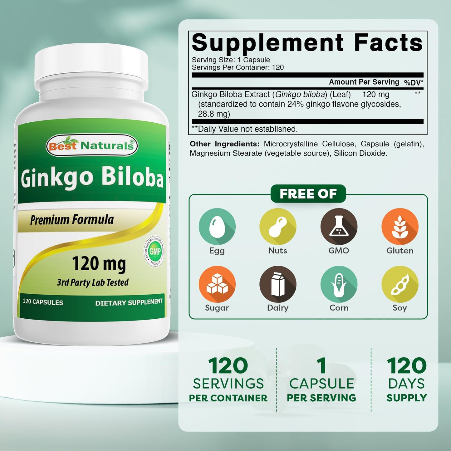 Best Naturals Ginkgo Biloba 120 mg 120 Capsules