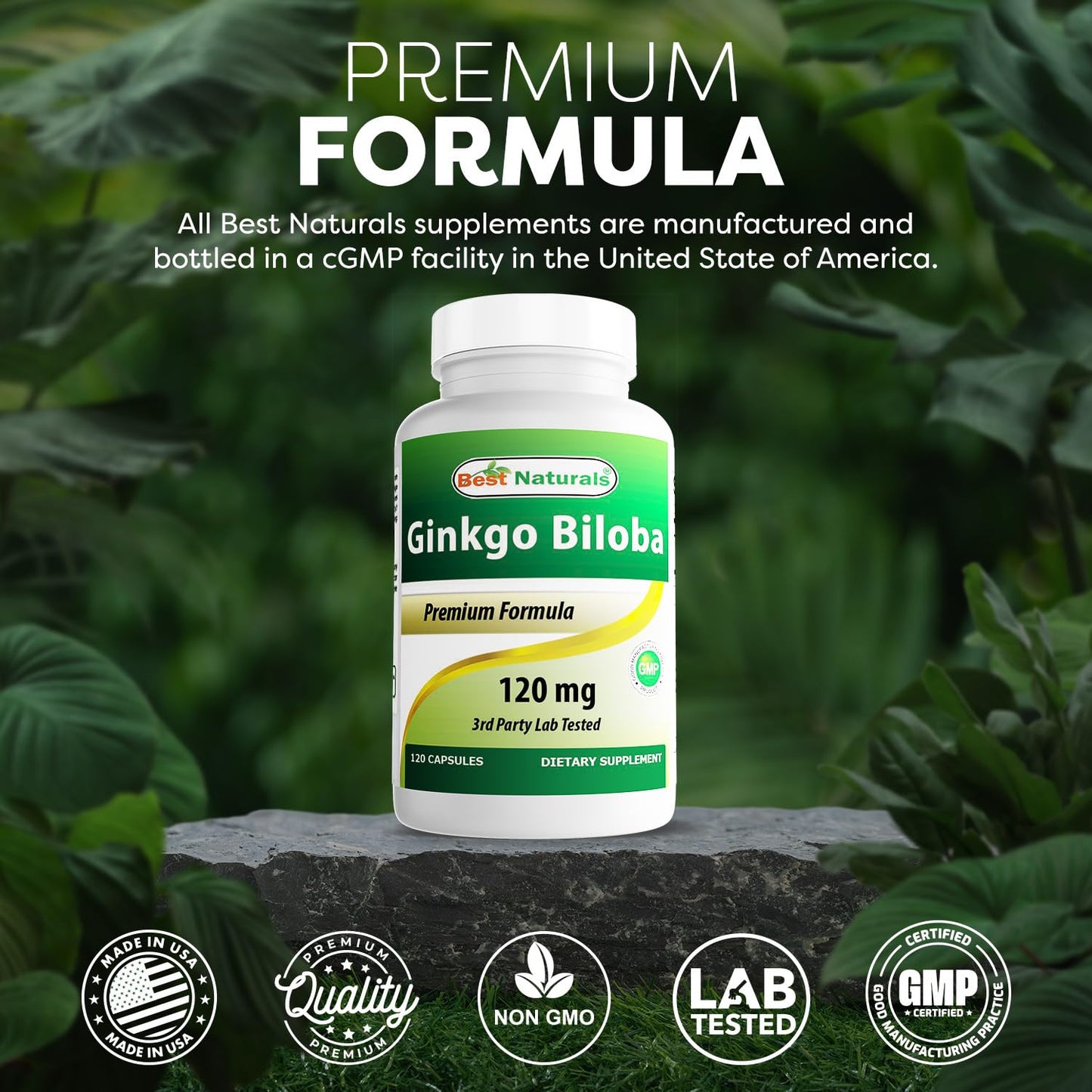 Best Naturals Ginkgo Biloba 120 mg 120 Capsules